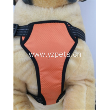 Fashion design custom pattern pet dog strap harness